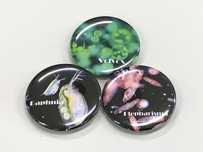 豊橋市視聴覚教育センターが「微生物オリジナル缶バッジ」発売、夏休みには観察イベントも