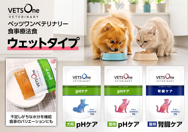 ペットゴー、食事療法食「ベッツワンベテリナリー」から猫用腎臓ケアウェットパウチを新発売
