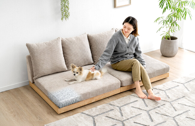 超清潔!『“座面の中”まで洗えるソファ』を発売!クッションの中まで染み込んだ汚れも丸洗い可能!