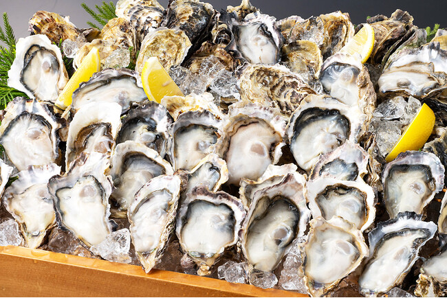 チャンスは6月30日まで！庄や「何個でも生牡蠣100円」6月23日で22万個超、1日あたり最大1万6000個爆売れで新記録更新中!!