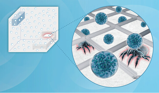 “梅雨に睡眠を妨げる”一因である繊維中のダニアレルゲンを抑制 ～ナノイー（帯電微粒子水）技術による睡眠環境改善への貢献が期待～