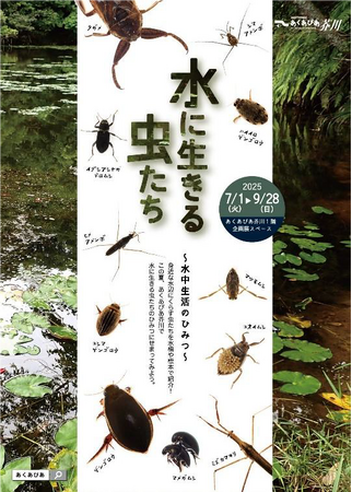 水中で生活する虫たちの呼吸方法や暮らし方をじっくり学べる企画展を高槻市で開催