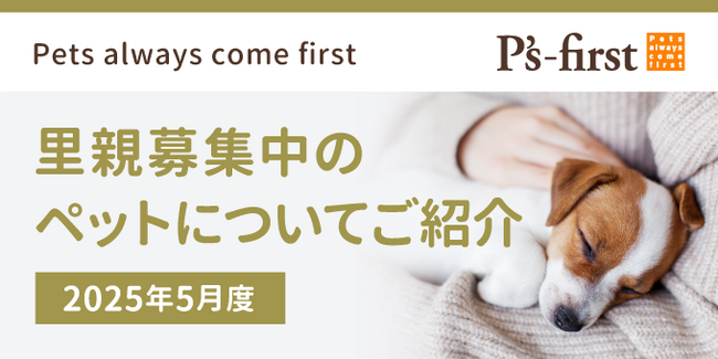 ペッツファーストグループ 里親探し活動レポート 2025年5月度