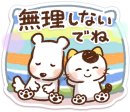 頑張りすぎないで 頑張りすぎないで