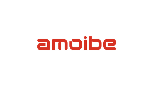 AI時代のエンジニア育成サービス『amoibe OJT』を提供するamoibeのシードラウンドにおいて出資