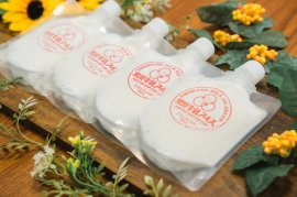 常滑牛乳アイス スパウトタイプ