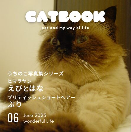 だれでも愛猫の写真集が出版できる！「うちのこ写真集」シリーズ第7弾『ヒマラヤン えびとはな　ブリティッシュショートヘアー ぶり』の電子書籍版が発売決定！