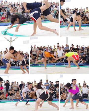 【レポート】第41回わんぱく相撲名古屋場所 決勝大会 開催のご報告