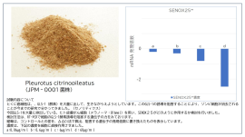 SENOX25(TM)と試験データ