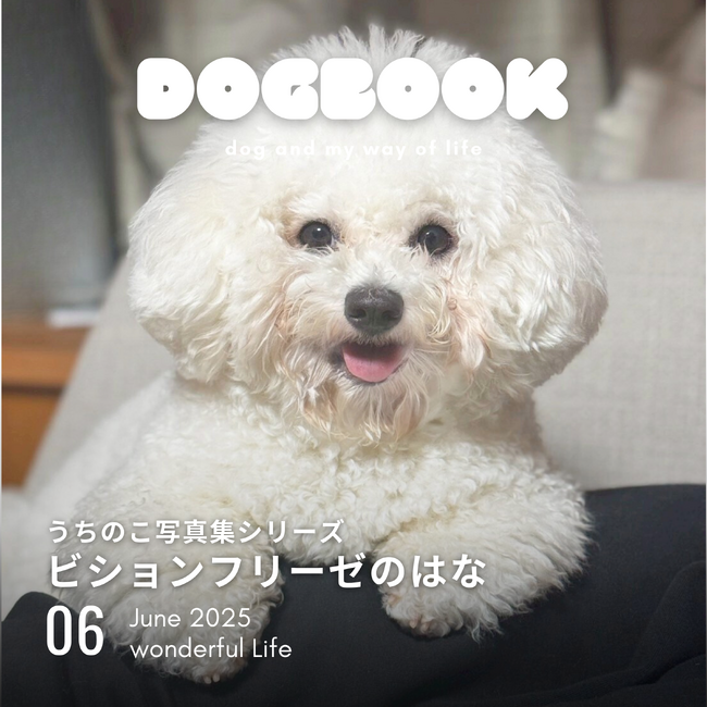 かわいい愛犬のフォトブックが本として残せる「うちのこ写真集」シリーズ第6弾『ビションフリーゼの華子』の電子書籍版が発売決定！