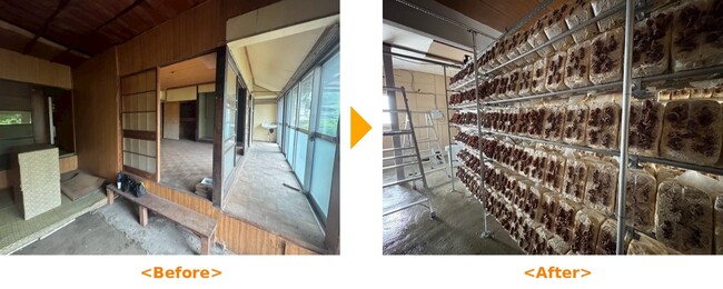 空き家をキクラゲ栽培施設に！クールコネクトがリノベーション＆借上げで運用開始