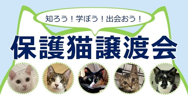 7月12日（土）、新宿NPO協働推進センターにて、新宿区とイオンペットの合同イベント、「知ろう！学ぼう！出会おう！保護猫譲渡会」を共催