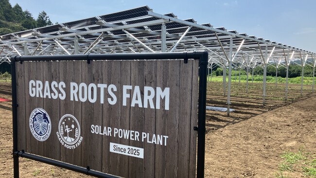 Jリーグクラブ 水戸ホーリーホックが挑む、地域創生×スポーツ×再エネのGXモデルに協力