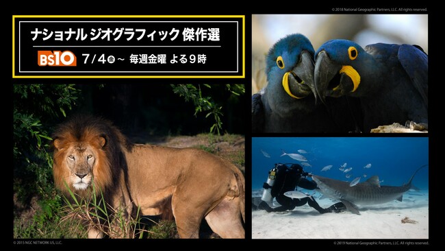 「ナショナル ジオグラフィック傑作選」BS10で7/4(金)～毎週金曜よる９時に無料放送！