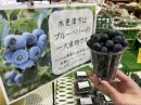 ブルーベリー詰め放題1分チャレンジ(7/20,7/27)