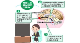 「涙活(るいかつ)」で職場のストレスケアとチームビルディング ー 感涙療法士が東京で研修実施へ 「涙活(るいかつ)」で職場のストレスケアとチームビルディング ー 感涙療法士が東京で研修実施へ