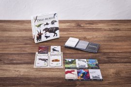 メインビジュアル メインビジュアル