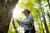 世界の食卓を支えるカナダ・ケベック州「メープルシロップ」2025年も豊作。今後の需要拡大に備え、新たに700万の採取口を追加