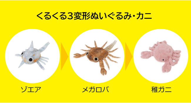 ぬいぐるみデザイナー・せこなおさん発案！カニの成長を再現する「くるくる3変形ぬいぐるみ・カニ」が新発売！