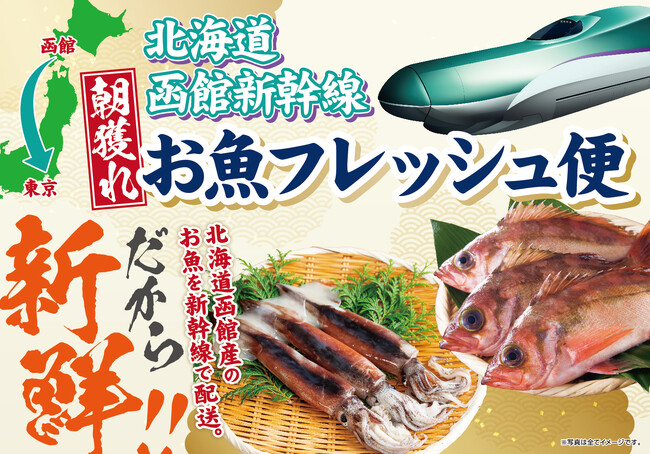 新幹線配送！函館の朝獲れ鮮魚をその日のうちに食卓へ