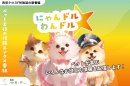 ラジオ番組「にゃんドル☆わんドル」