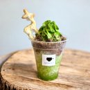 大人気！若草山ラテのかき氷ver.