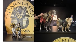 ペットと一緒に鑑賞できる、ツタン“ニャー”メン&ツタン“ワン”メンデーふたたび!7/21(月•祝)開催 ペットと一緒に鑑賞できる、ツタン“ニャー”メン&ツタン“ワン”メンデーふたたび!7/21(月•祝)開催