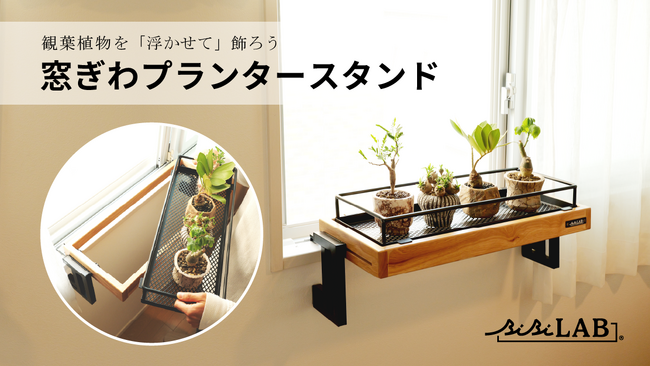 観葉植物を【浮かせて】飾れる「窓ぎわプランタースタンド」発売