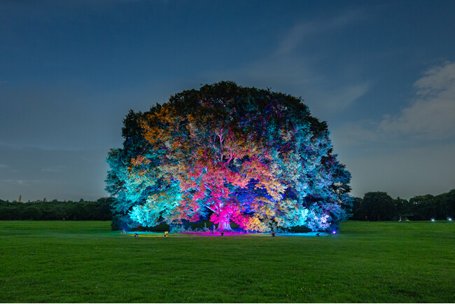 夏の特別夜間開園「ほしぞら散歩」を開催（国営昭和記念公園）