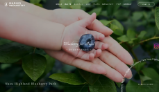 【Nasu Highland Blueberry Park】那須高原の大自然が育んだ至極の逸品！大粒プレミアム生ブルーベリー＆瞬間冷凍ブルーベリー、7月1日(火)よりECサイトにて販売開始！