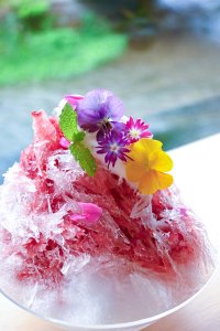 夏のご褒美スイーツ！スフレチーズケーキ専門店「花」、国産すももを使った夏季限定メニューを7月14日より販売開始