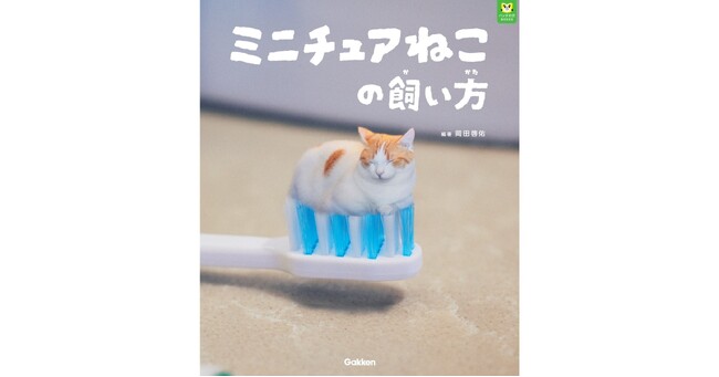 【あまりの可愛さに猫好き大興奮!?】「パンダの穴BOOKS」第1作目の『ミニチュアねこの飼い方』発売決定＆予約開始!!