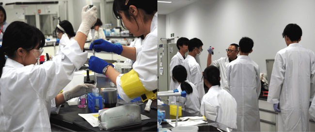 【摂南大学開学５０周年記念事業】中高生に「科学は面白い！」を伝えたい　学生が企画・運営する『摂南サイエンスキャンプ２０２５』開催