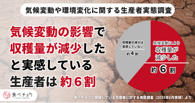 猛暑などの影響で約6割の生産者が収穫量減、規格外品が増加も。暑さに強い新品種の導入など気候変動対策を実施。