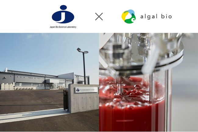 アスタキサンチン高含有の藻類製造、商用化へ - アルガルバイオと日本生物科学研究所の共同開発が結実