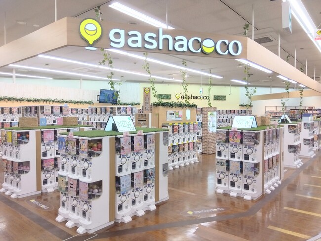 カプセルトイ専門店『gashacoco（ガシャココ）』のフランチャイズ店舗２８号店『gashacoco 平安堂伊那』を７月25日(金)オープン！