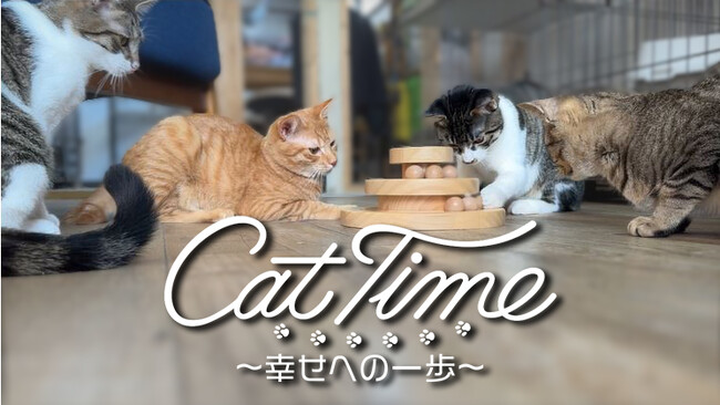 インストゥルメンタル音楽「Cat Time ～幸せへの一歩～」ＣＳチャンネル「日テレプラス」にて2025年7月13日（日）スタート