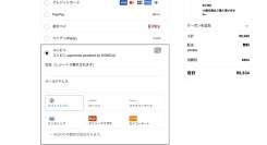 18禁商材専門「完全買い切り」EC構築サービスを提供開始―ライト20万円から最短2週間で公開。日本ナイトプロダクションズ株式会社。