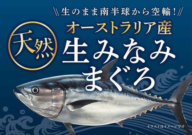 「オーストラリア産 天然生みなみまぐろ」を２１９店舗※１）で販売