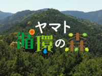 森を守り、育て、活かす。 “ヤマト循環の森”から始まる住まいづくり