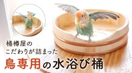 クラウドファンディングトップ画像 クラウドファンディングトップ画像