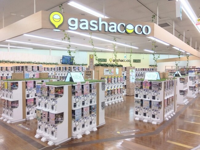 カプセルトイ専門店『gashacoco（ガシャココ）』『gashacoco Pop up store チ・カ・ホ 』を7/21(月・祝)