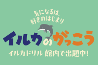 【京都水族館】イルカスタジアムがまるで巨大問題集に!?
「イルカのがっこう」Ver.2が7月19日（土）にスタート