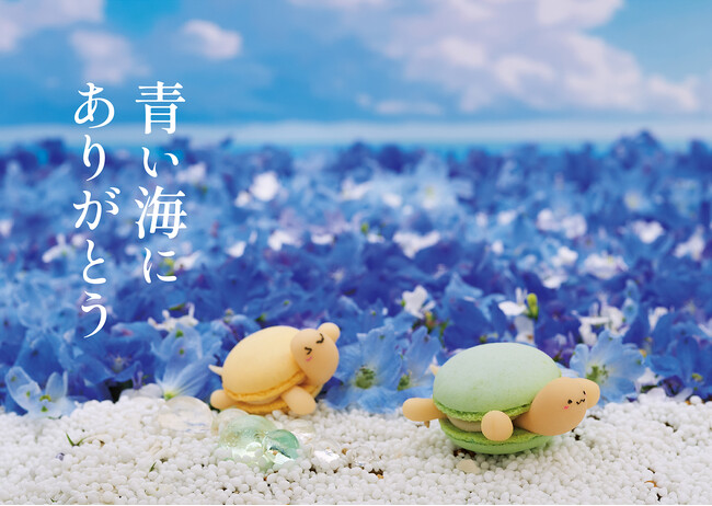 2025年7月18日（金）「デザインから生まれる繋がり」クリエイターズ共同制作企画Season5「なんでもない日にありがとう」-episode2「青い海にありがとう」を限定販売致します。