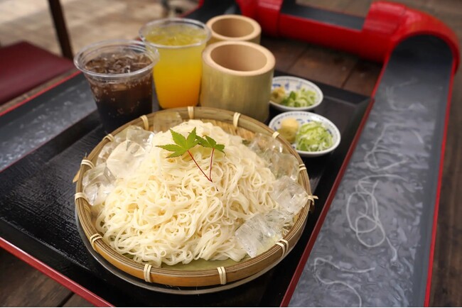 【愛知県岡崎市】『ウッドデザインパーク岡崎』の人気アクティビティ【流しそうめん体験】お楽しみください