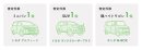 車種カテゴリー別査定件数1位