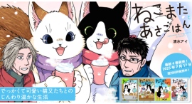 【新刊発売！】でっかくて可愛い猫又たちを過ごす優しくも切ない日常物語『ねこまたとあさごはん』。シリーズの第４巻が７月17日発売！！