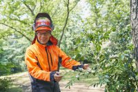 「100年先の森」をつくる。都市と人と自然をつなぐ保全活動の今＜東洋大学SDGs NewsLetter Vol.38＞