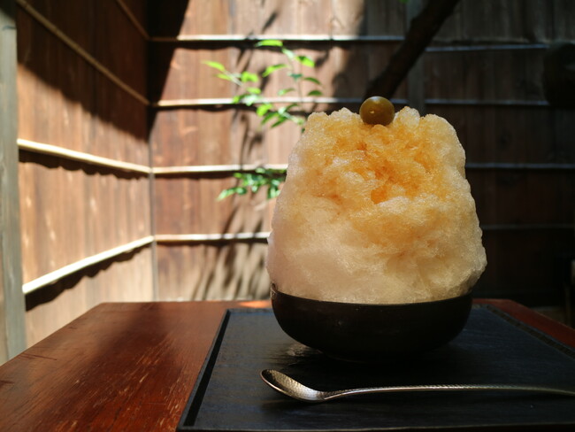 【8・9月限定】くず餅乳酸菌(R)入りかき氷シリーズからさっぱり爽やかな「青梅」が登場