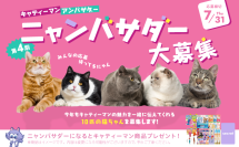 あなたの愛猫がキャティーマンの顔に！7月18日から「第4期ニャンバサダー」大募集開始
